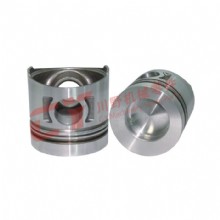 S6K bright S6K bright